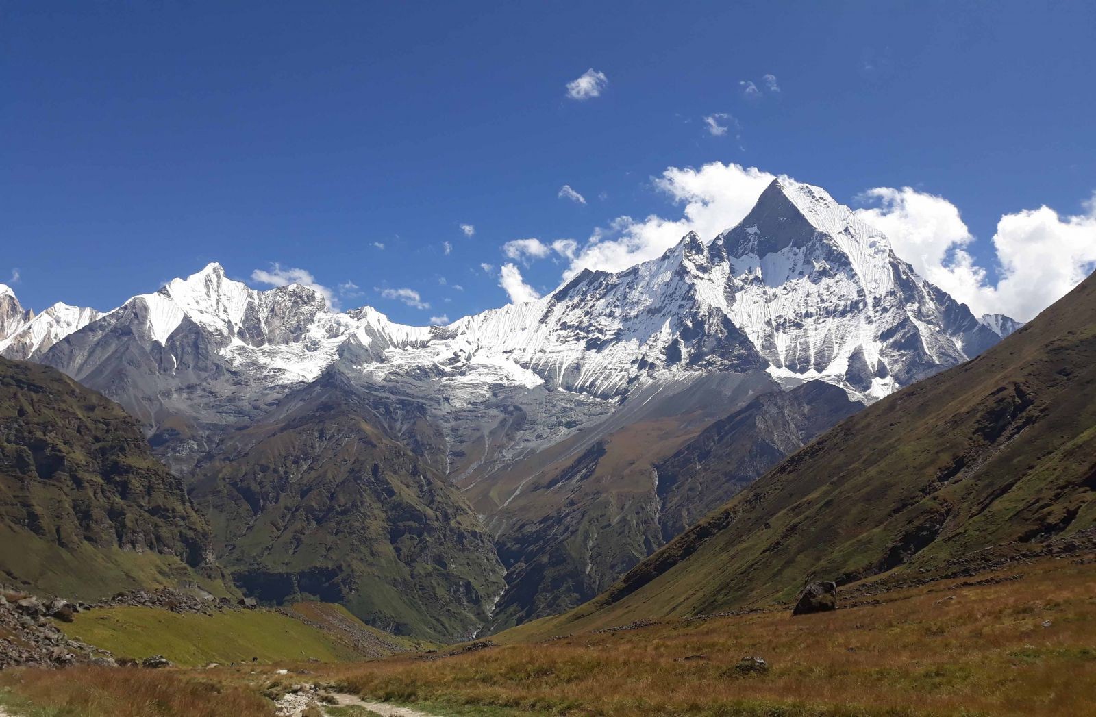 Annapurna View in ABC Trek 1585219955