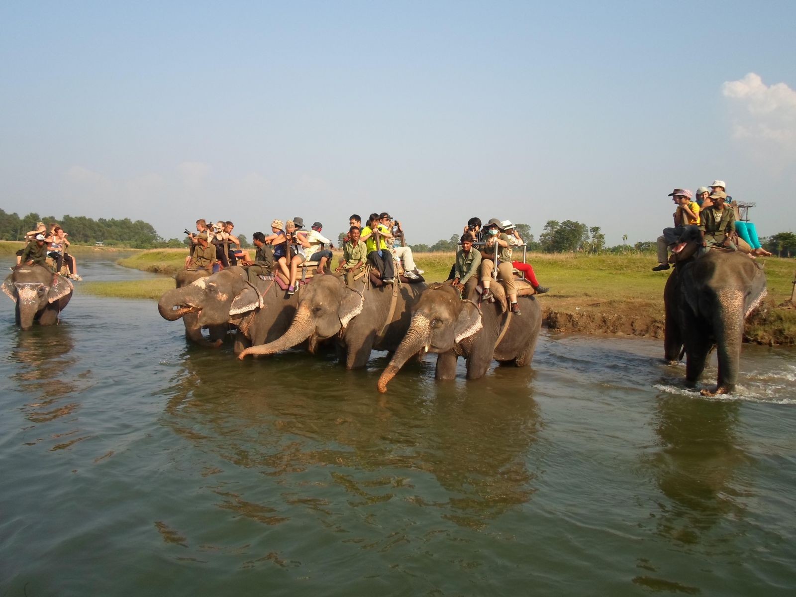 Elephant Back Ride in Chitwan National Park 1585221602