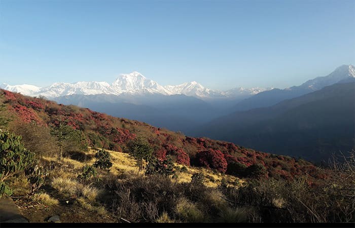 0Gzq9 annapurna 1585286345