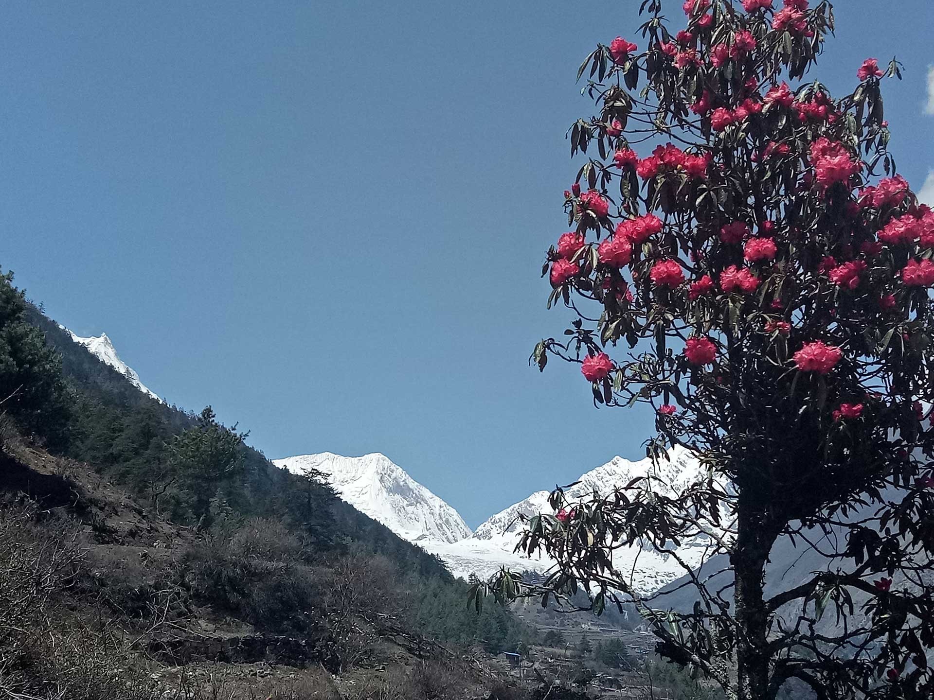 Namrung manaslu