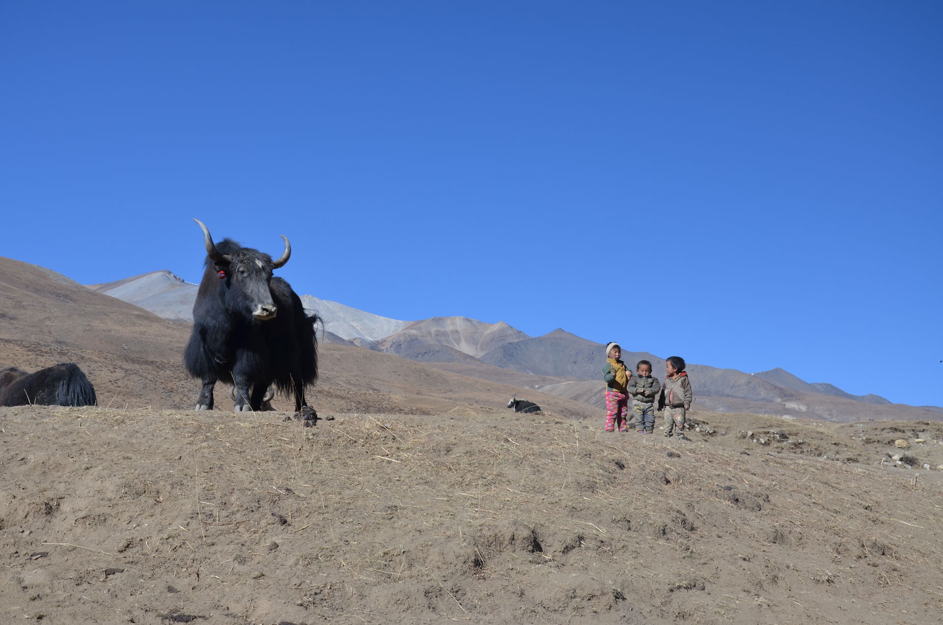 Saldang dolpo trek