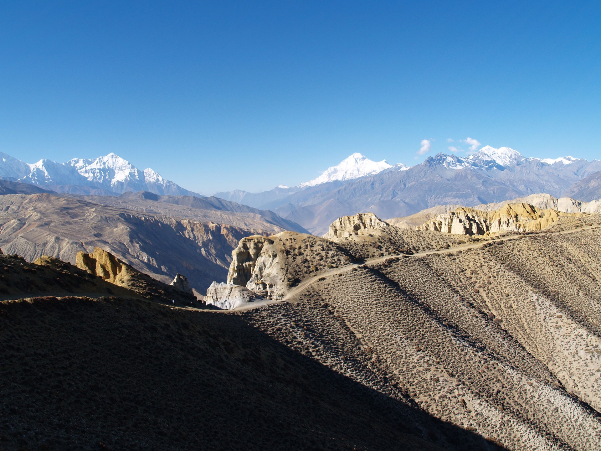 Shynmuchen upper mustang