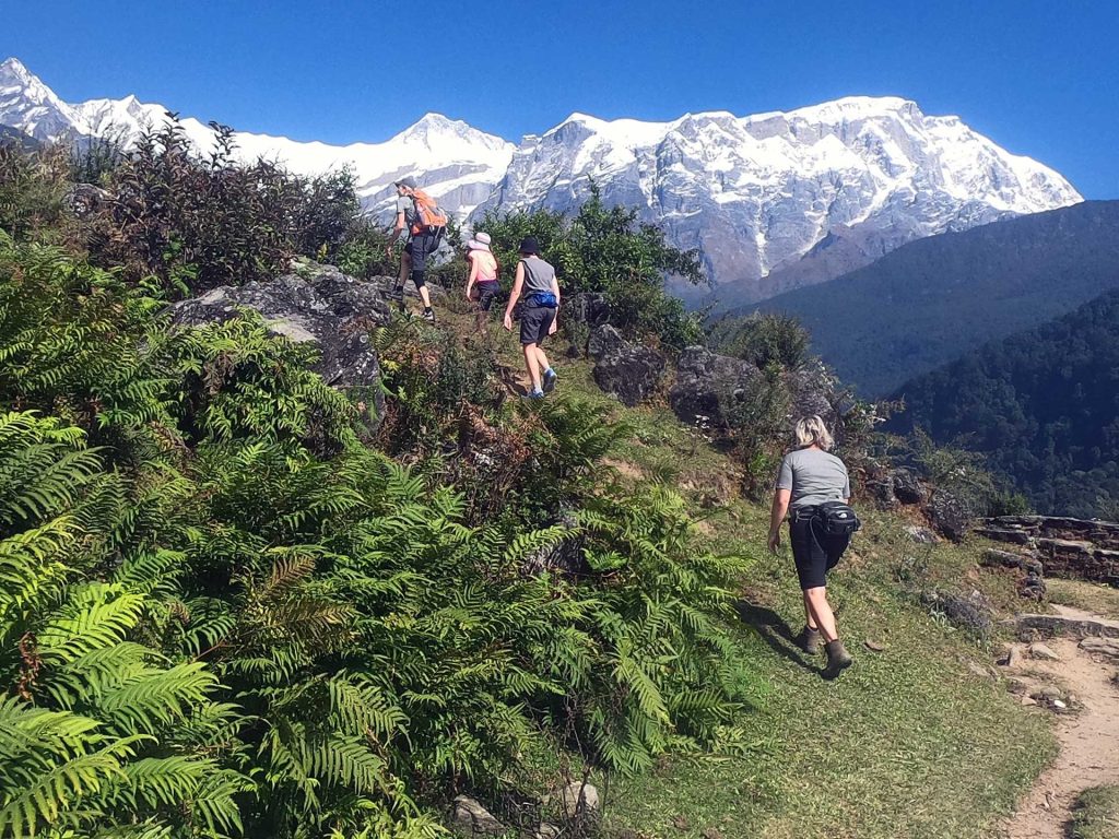 Siklish Trek