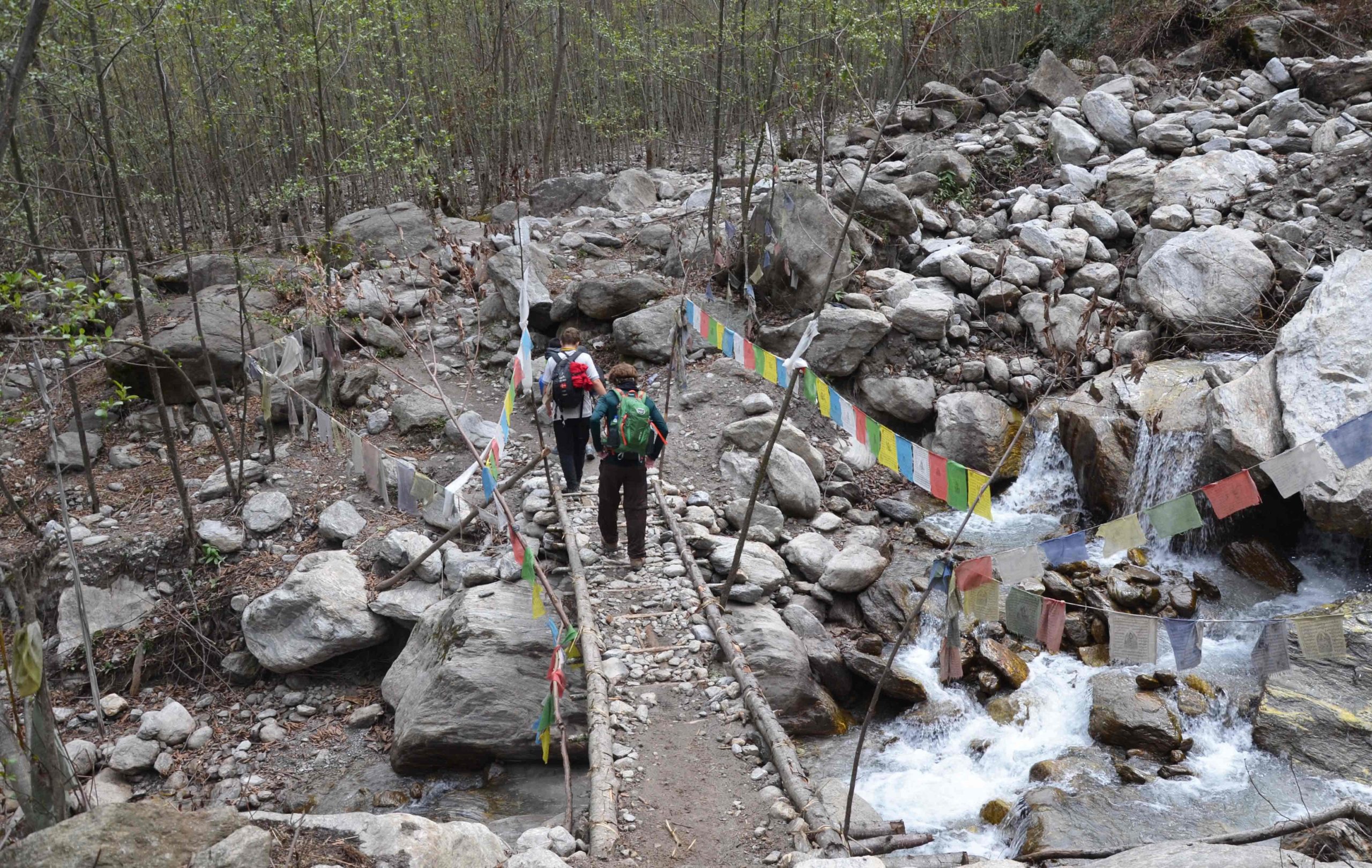 Trekking in Langtang Region intro scaled