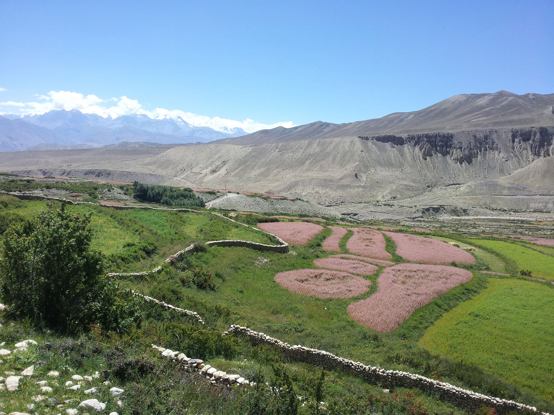 chharang lo manthang
