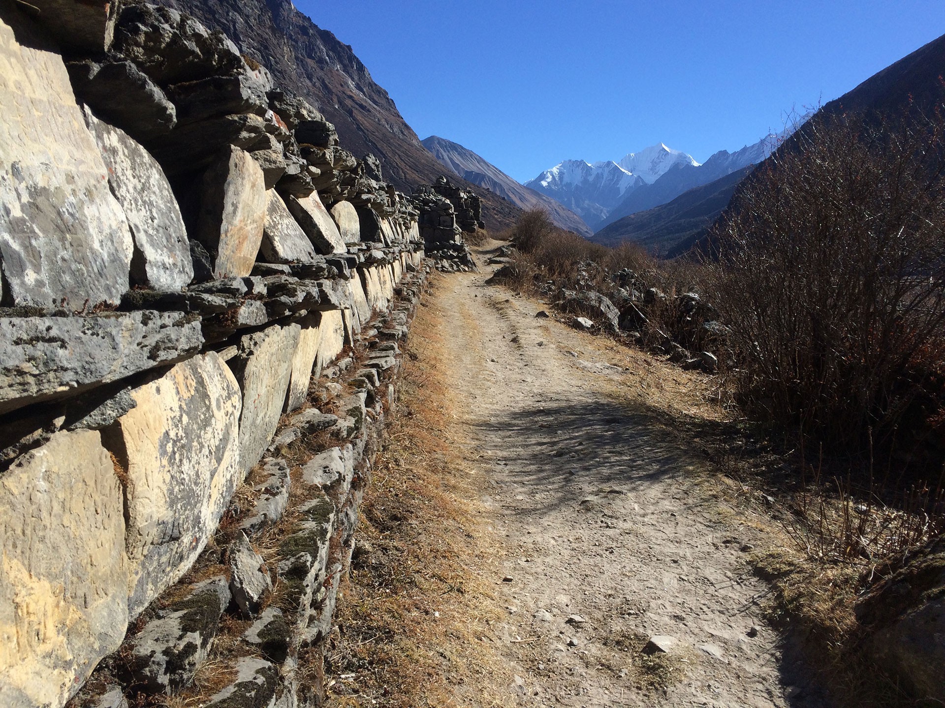 dhunche one