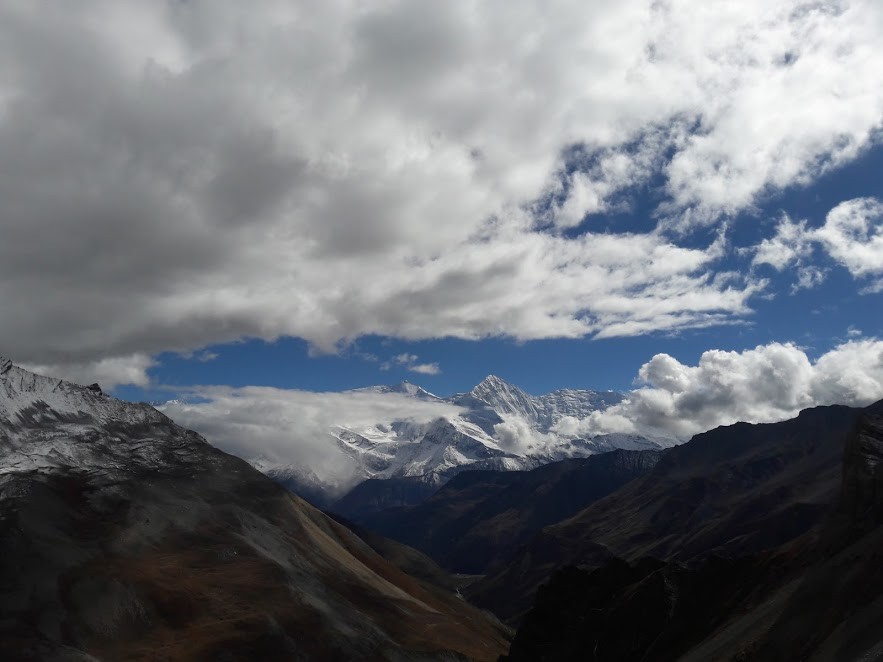 high camp