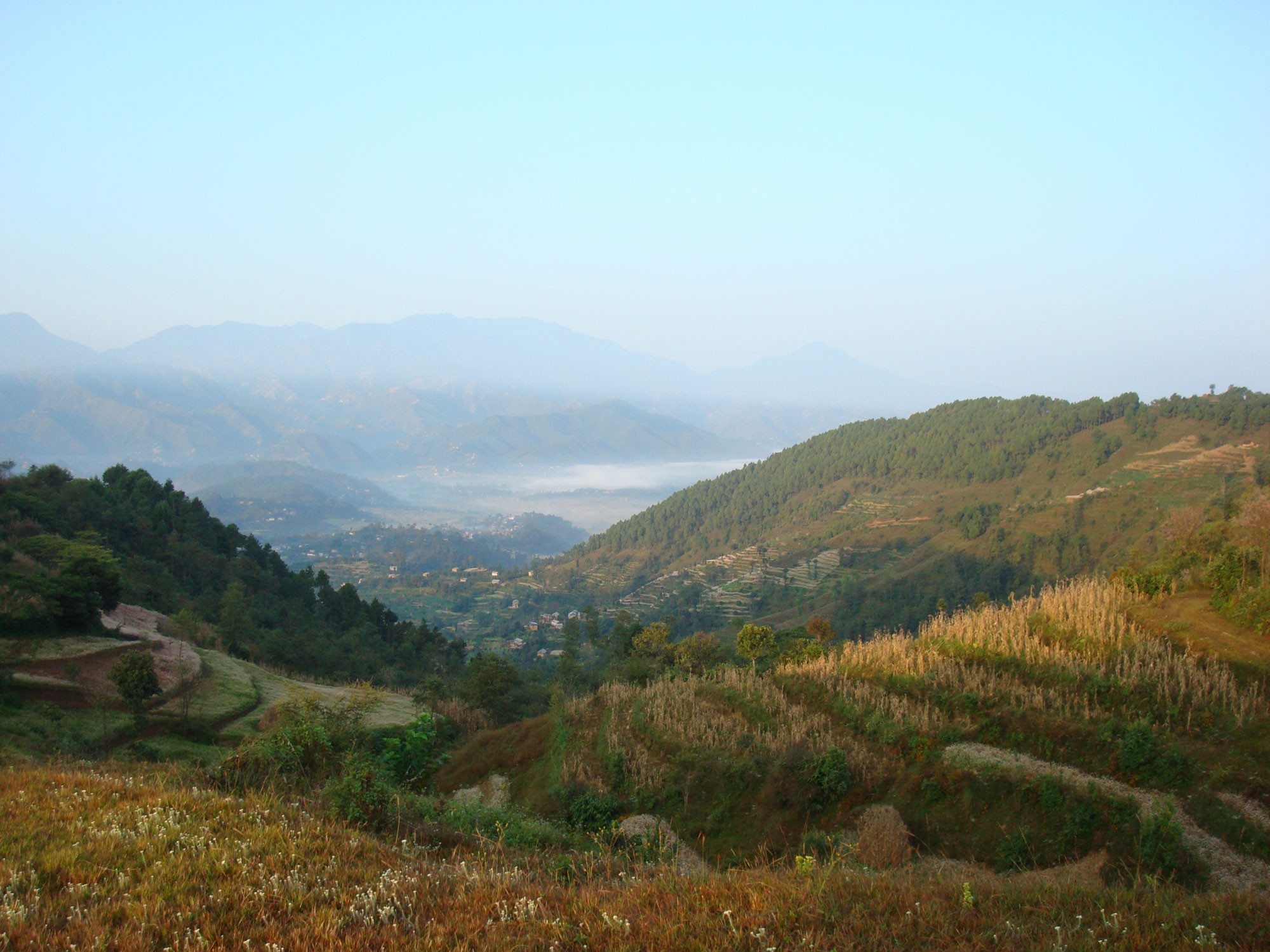 namo view one