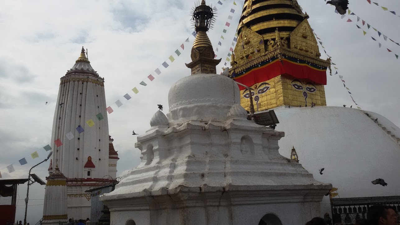 swyanbhu image