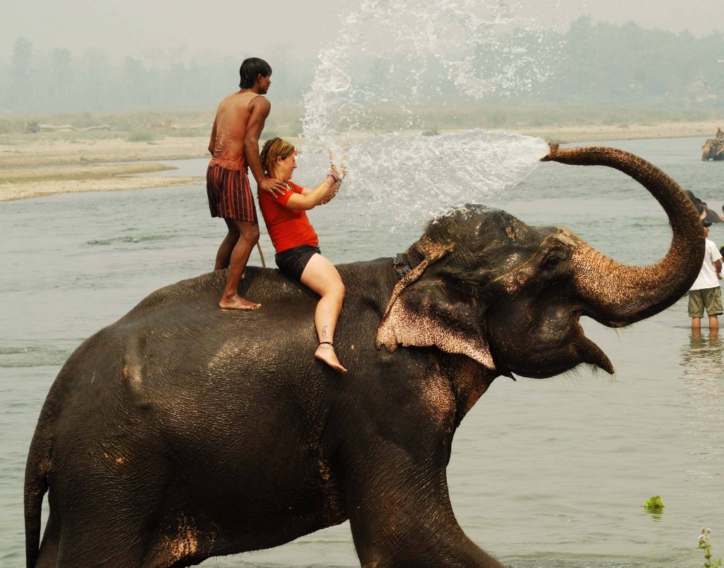 Elephant Shower