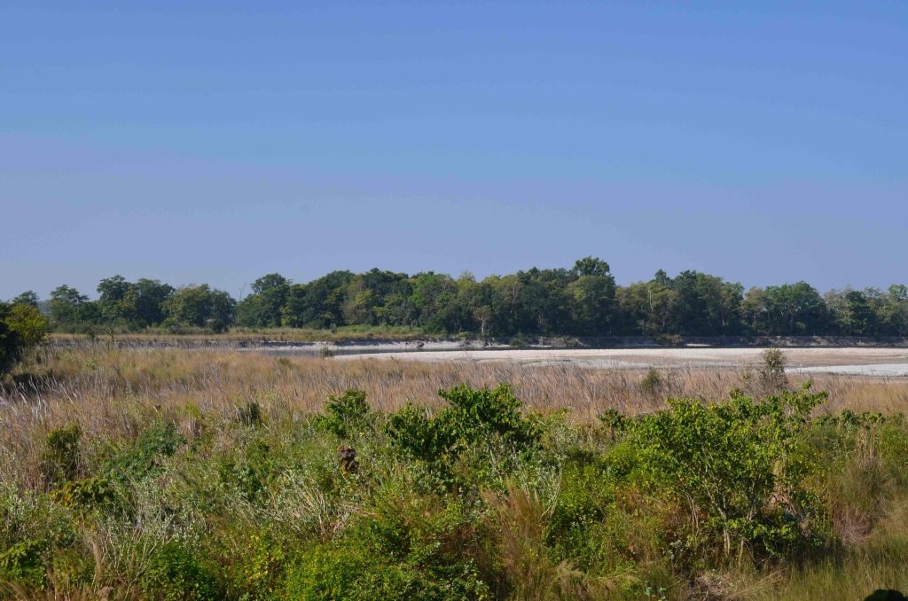 Bardiya National Park